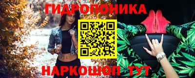 шишки Будённовск
