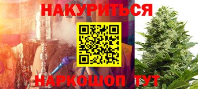 шишки Будённовск