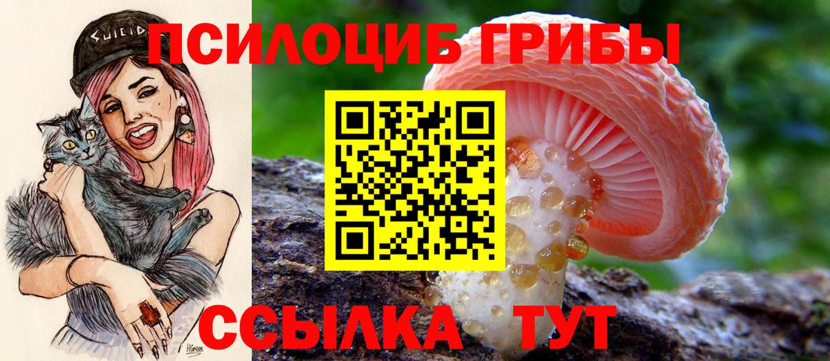Псилоцибиновые грибы MAGIC MUSHROOMS Похвистнево