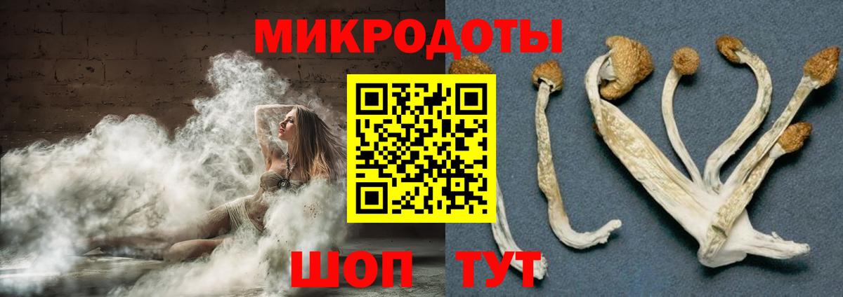 Псилоцибиновые грибы MAGIC MUSHROOMS  Вход с VPN  Псилоцибиновые грибы мухоморы  Похвистнево 